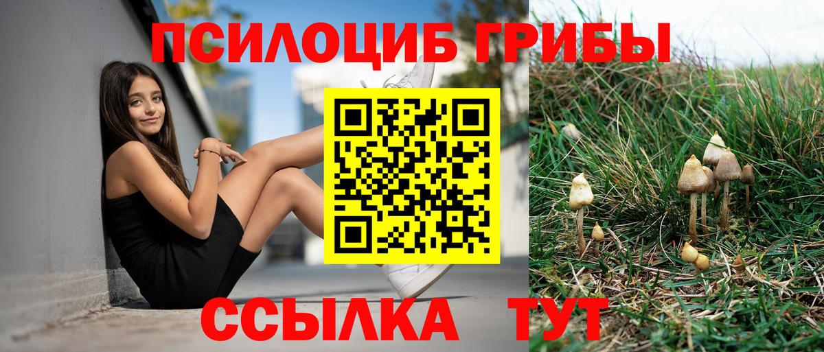 Галлюциногенные грибы мицелий Альметьевск