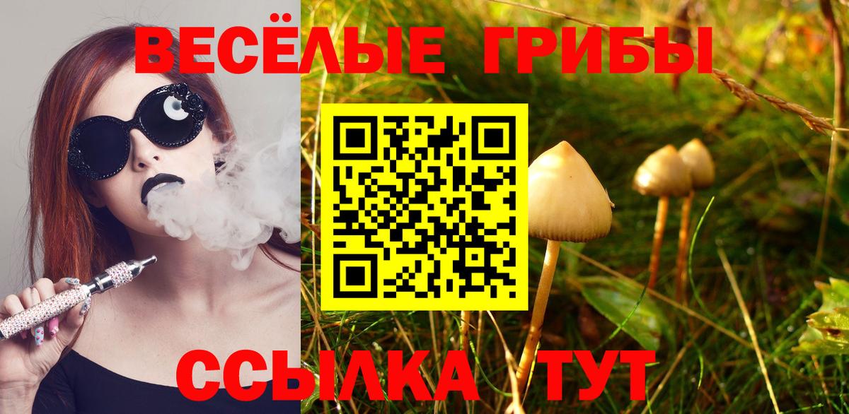 Альметьевск  Галлюциногенные грибы GOLDEN TEACHER  Вход с VPN 